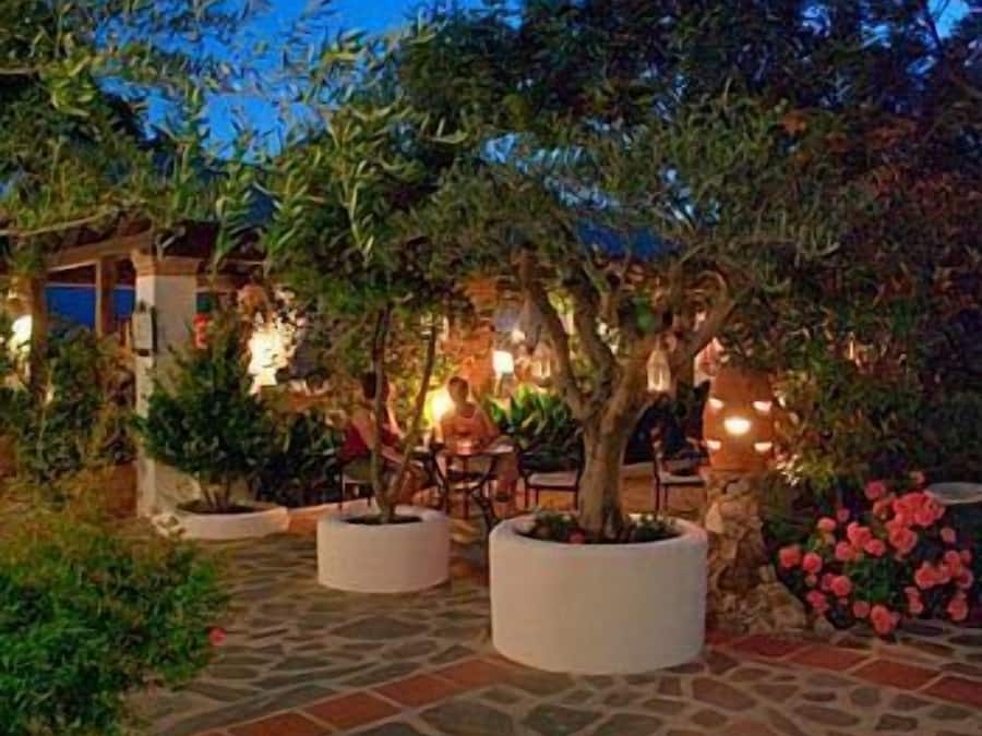 Un patio al aire libre con suelo de piedra, macetas con árboles y un conjunto de asientos.