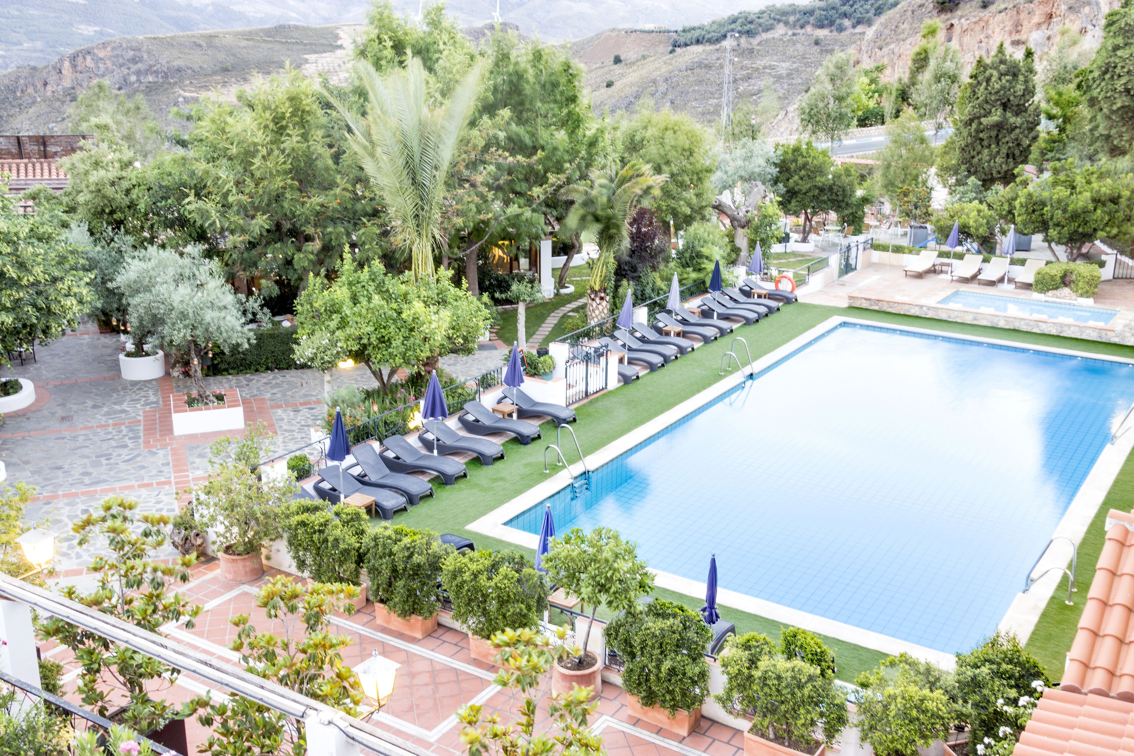 Outdoor pool, pool loungers