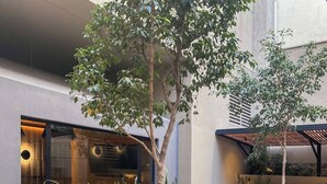 An outdoor seating area with wicker tables and chairs, surrounded by potted plants and a central tree. - Hotel Alejandro I, Affiliated by Meliá (Salta)