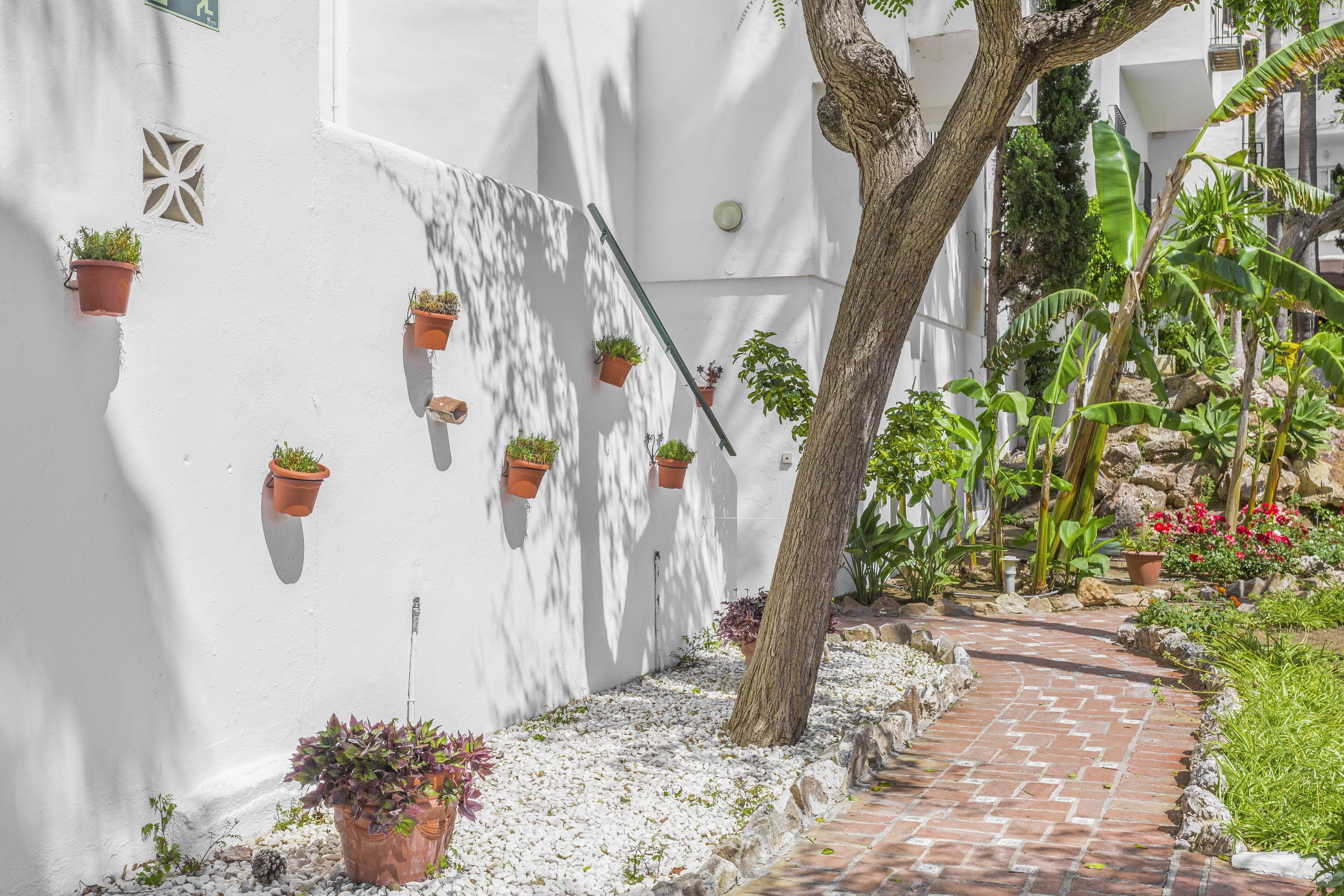 A narrow brick pathway flanked by white walls with potted plants and a tree.