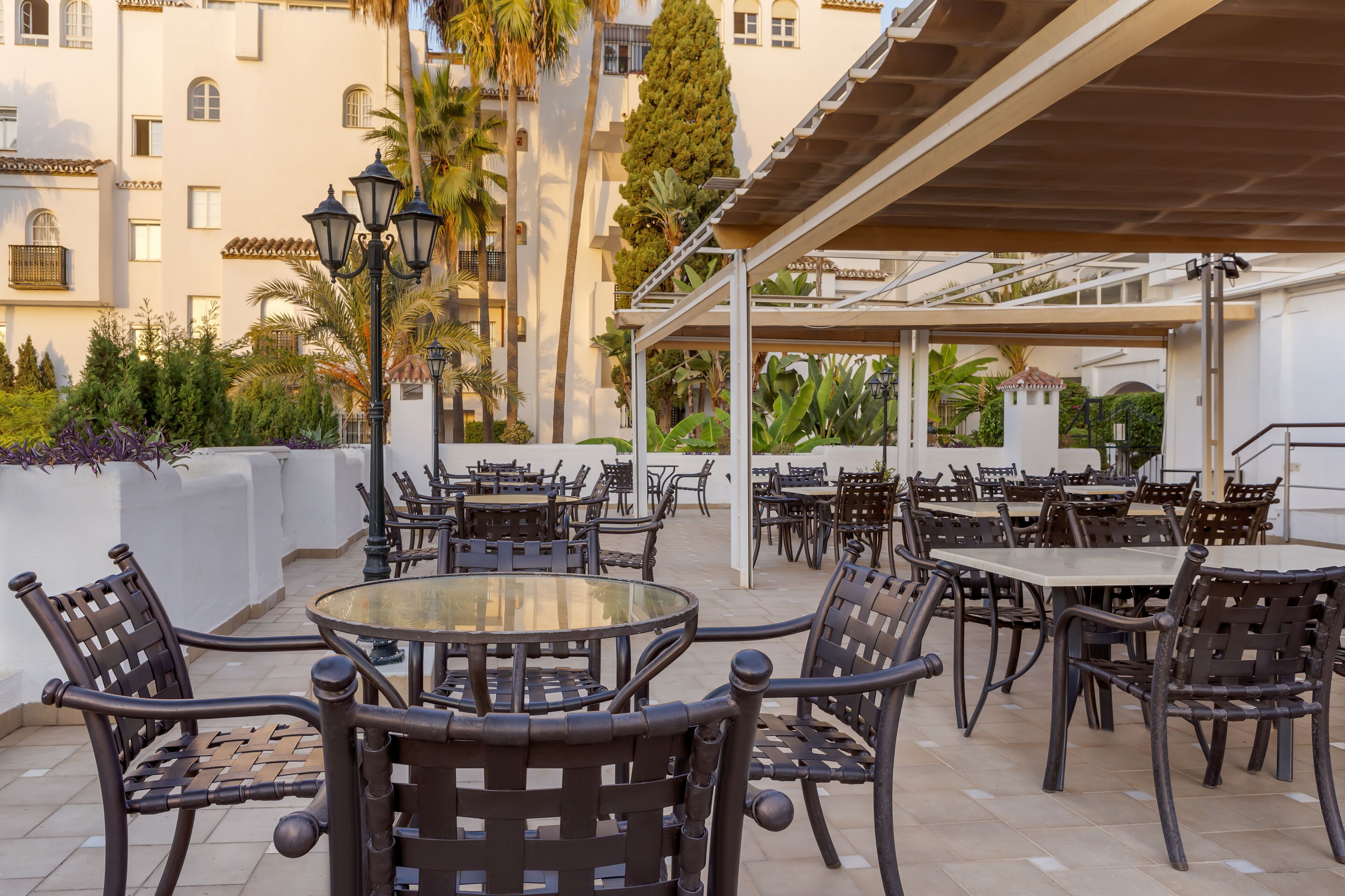 An outdoor patio with round tables and chairs, surrounded by a white building with balconies and a palm tree.