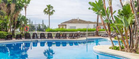 Una piscina con sillas de descanso y palmeras.