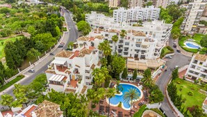 Un quartier résidentiel doté d’une piscine entourée de palmiers et bordé d’une route.