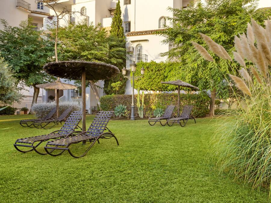 Un patio con sillones de descanso, una pequeña fuente y abundante vegetación.