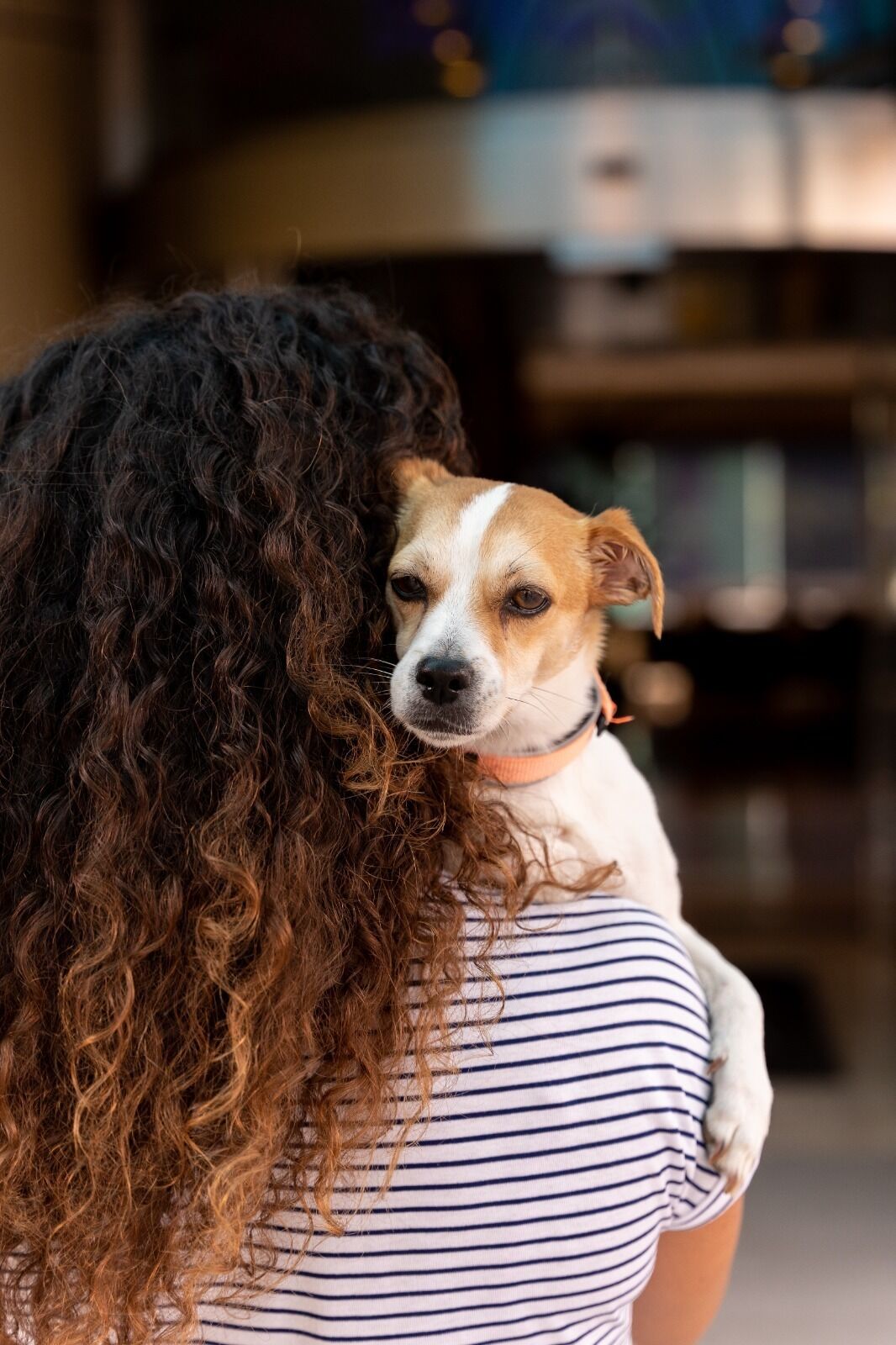Una persona sosteniendo un perro.