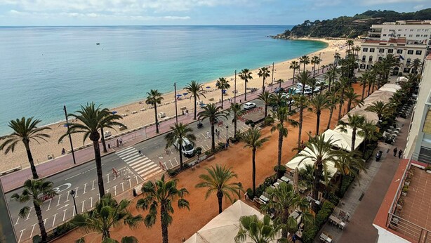 A coastal hotel with a beach view, palm trees, and a road with a pedestrian crossing.
