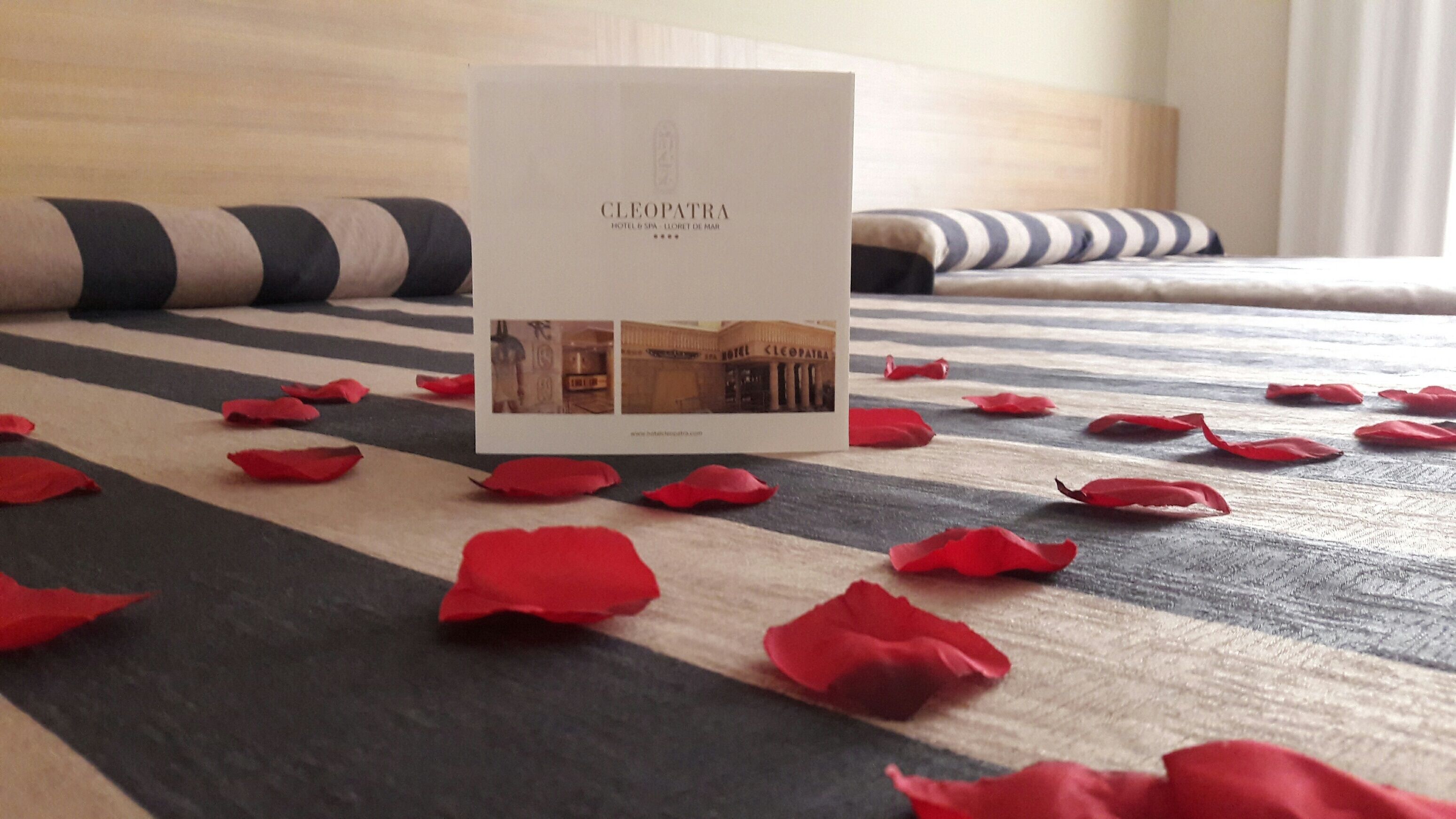 Minibar, escritorio, wifi gratis y ropa de cama 
