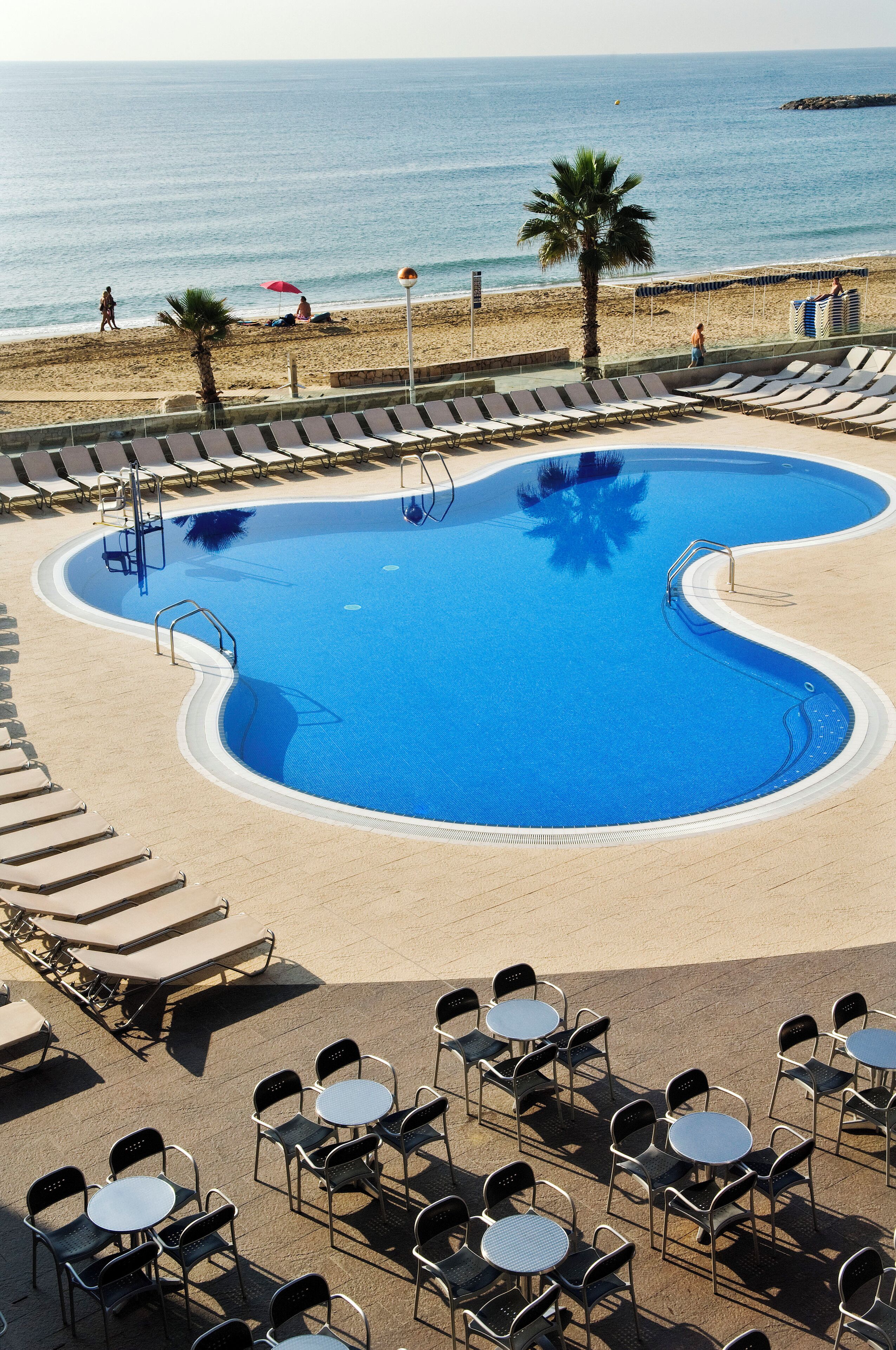 A swimming pool with lounge chairs and tables, a beach in the background, and a palm tree.