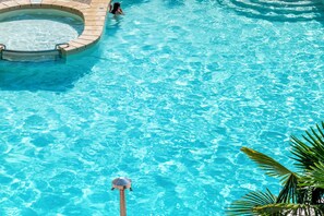A clear view of a swimming pool with a hot tub area and a palm tree in the foreground.