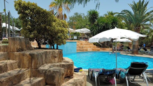 Un espace piscine avec des marches en pierre menant à l’eau, entouré de palmiers et de chaises longues.