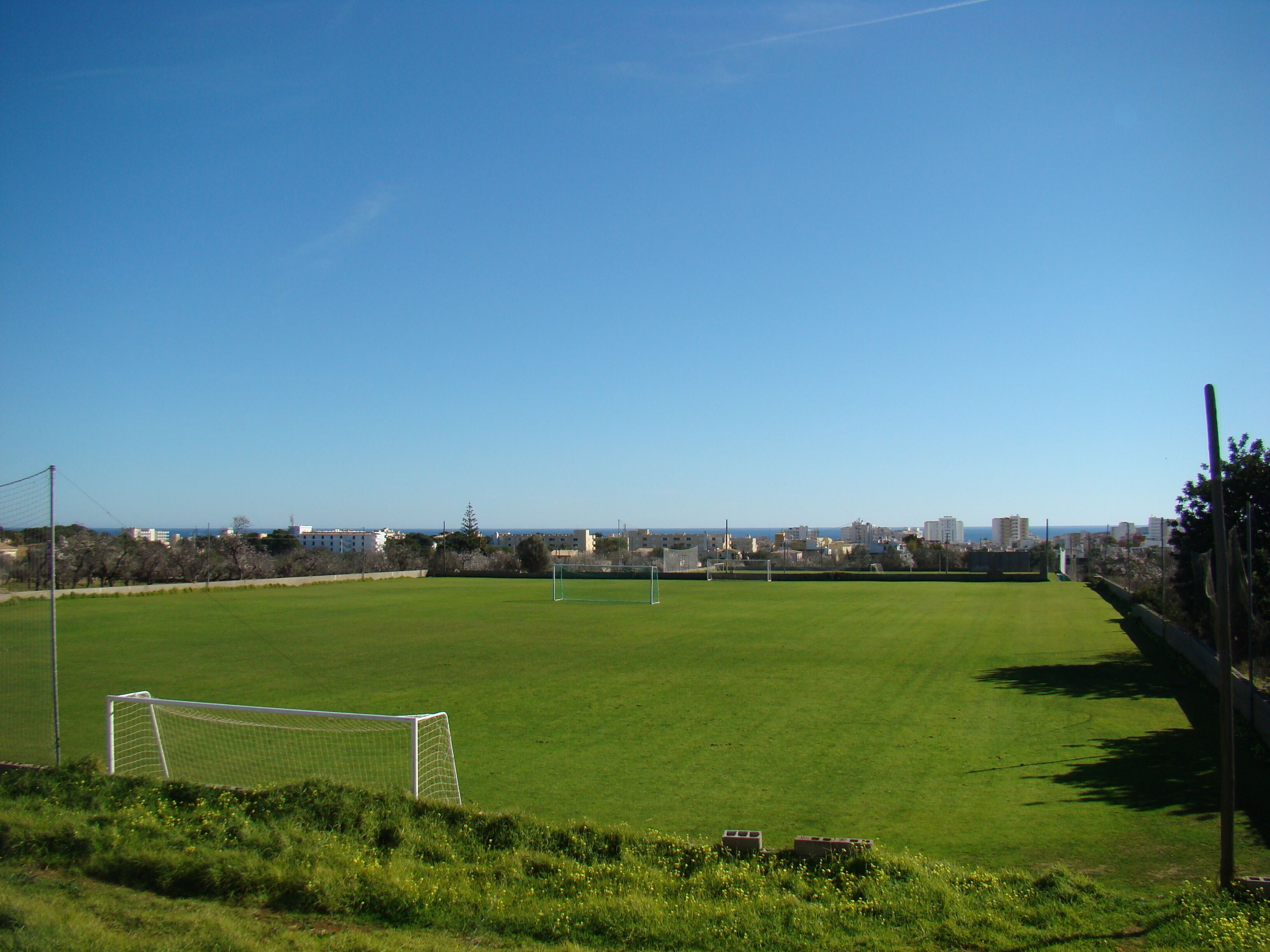 A soccer field with a goalpost, surrounded by a fence and trees, with a cityscape in the background.