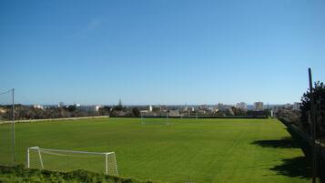A soccer field with a goalpost, surrounded by a fence and trees, with a cityscape in the background.