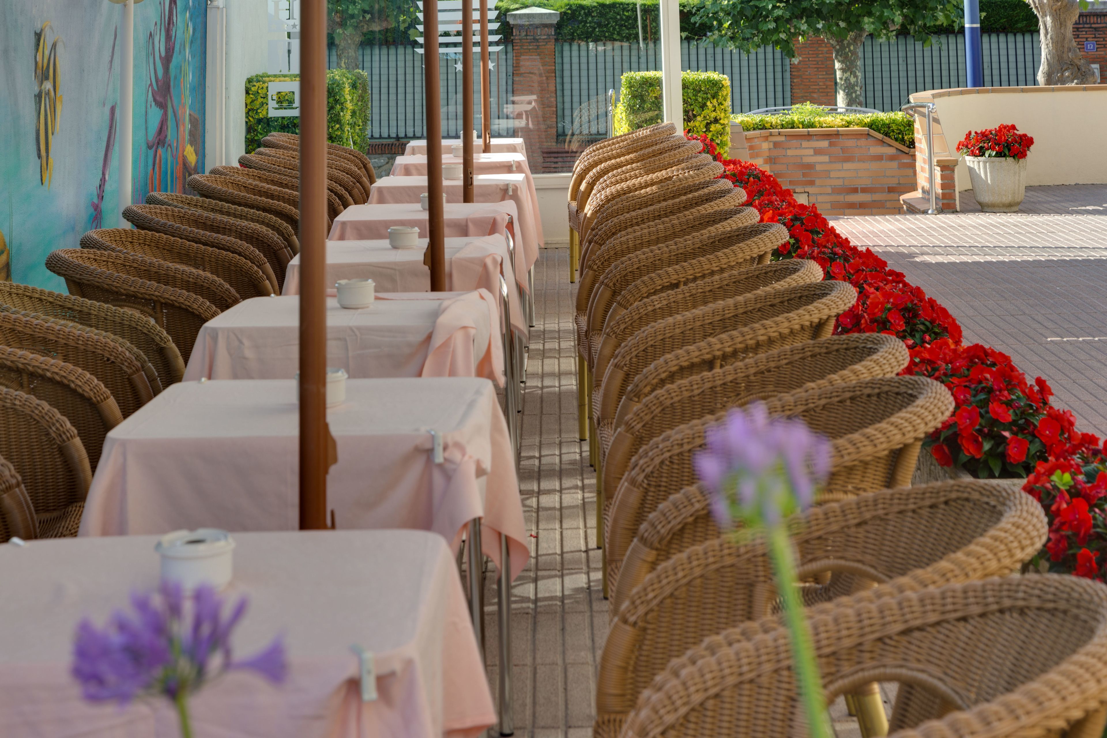 Photo - Hotel Cosmopol