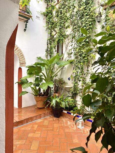 El Rincon De Las Descalzas - view 3