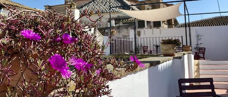 Terraza en la azotea