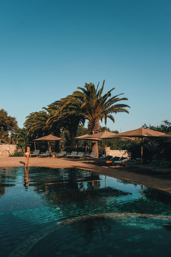 Zona de piscina con sillas de descanso y sombrillas, rodeada de palmeras.