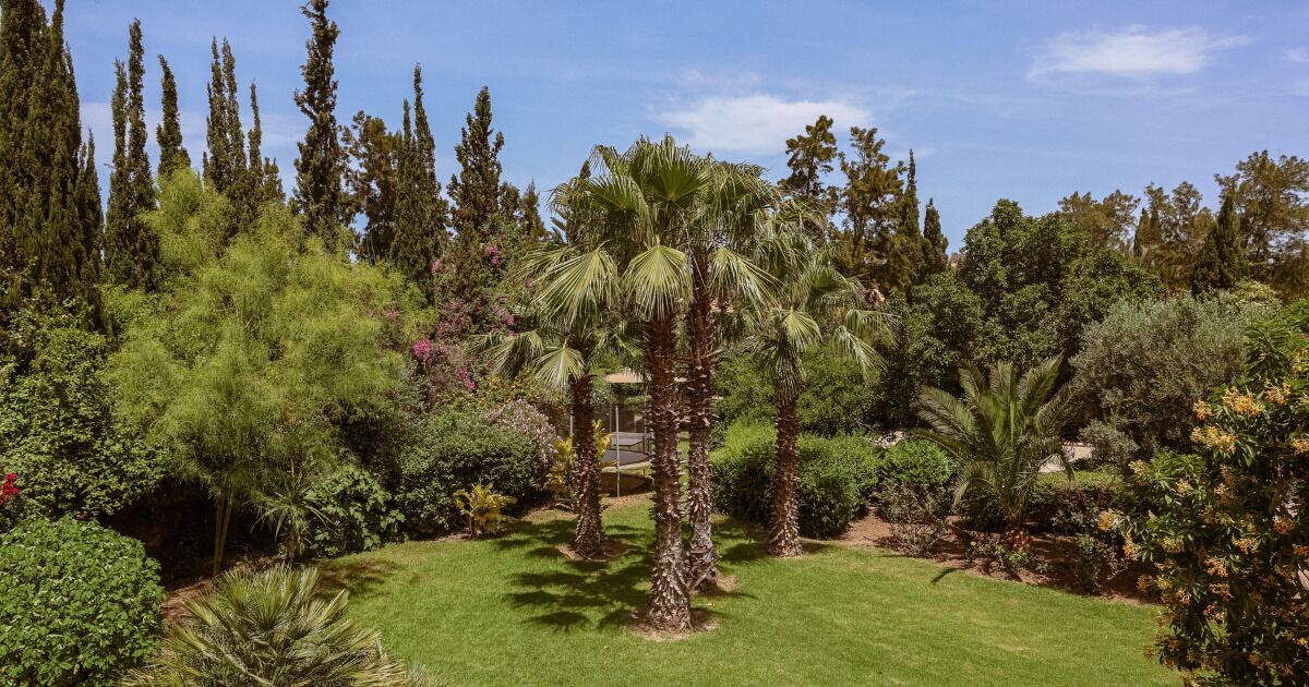 A well-maintained garden with various trees and shrubs, a clear sky, and a pathway.