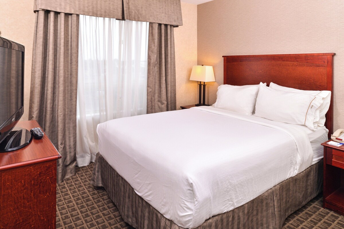Suite, 1 grand lit et 1 canapé-lit | Coffre-fort, bureau, fer et planche à repasser, lit de bébé (gratuit)