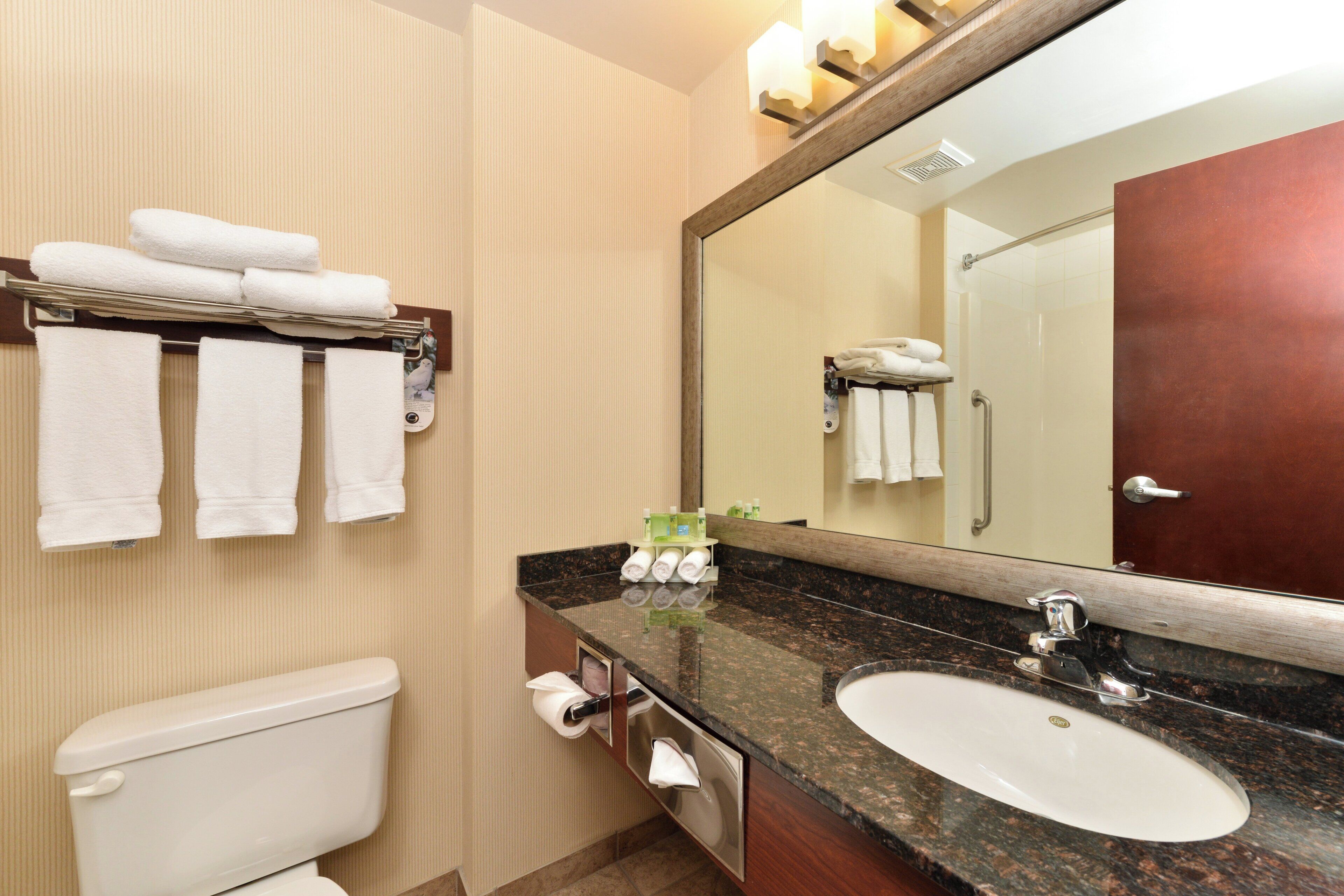 Une salle de bain avec des toilettes, un lavabo, un miroir et des serviettes.