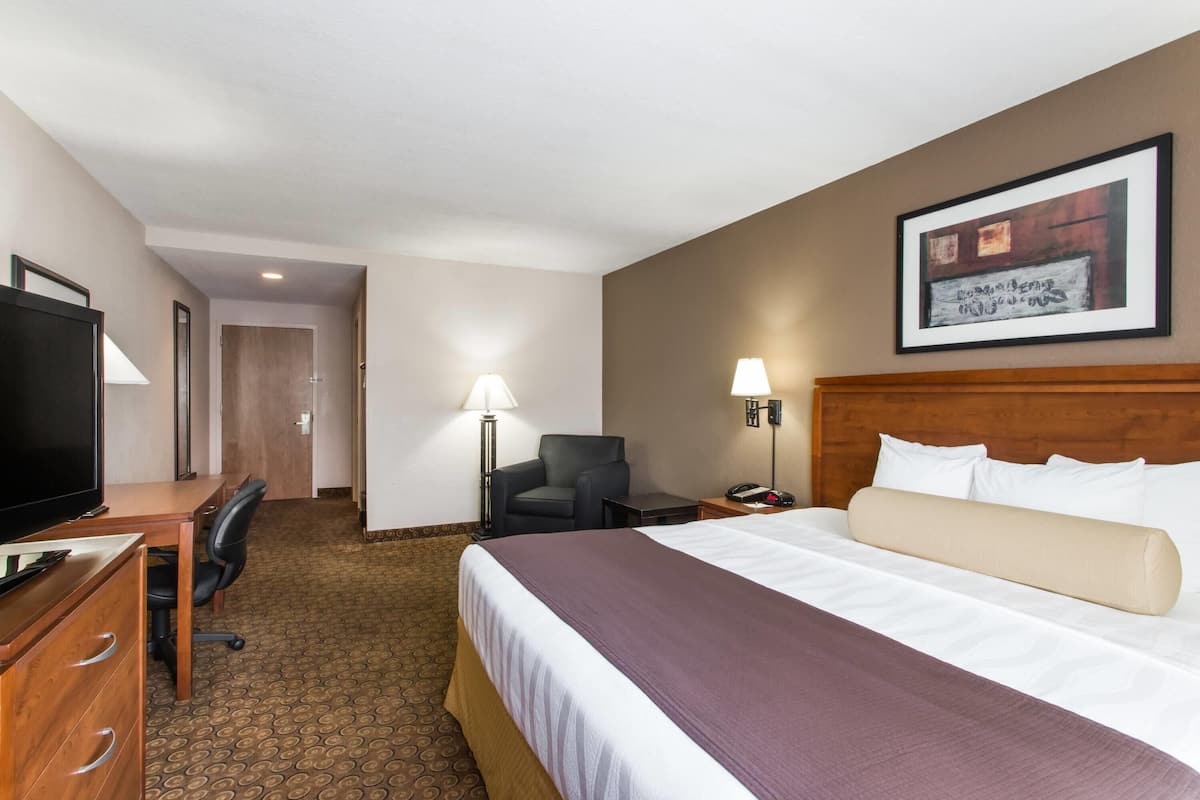 A hotel room with a bed, desk, chair, TV, and artwork on the wall.