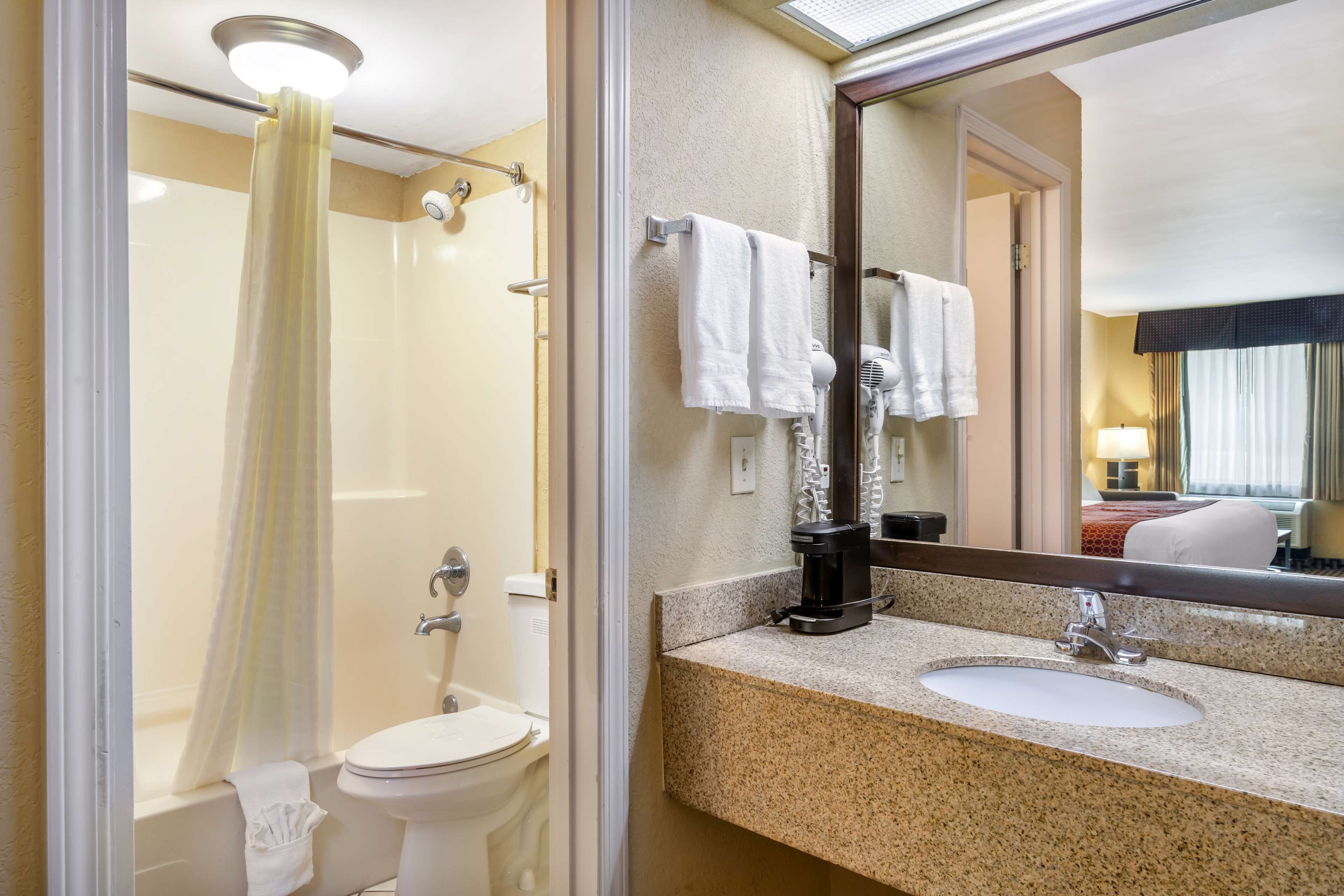 A bathroom with a shower, toilet, sink, and a large mirror.