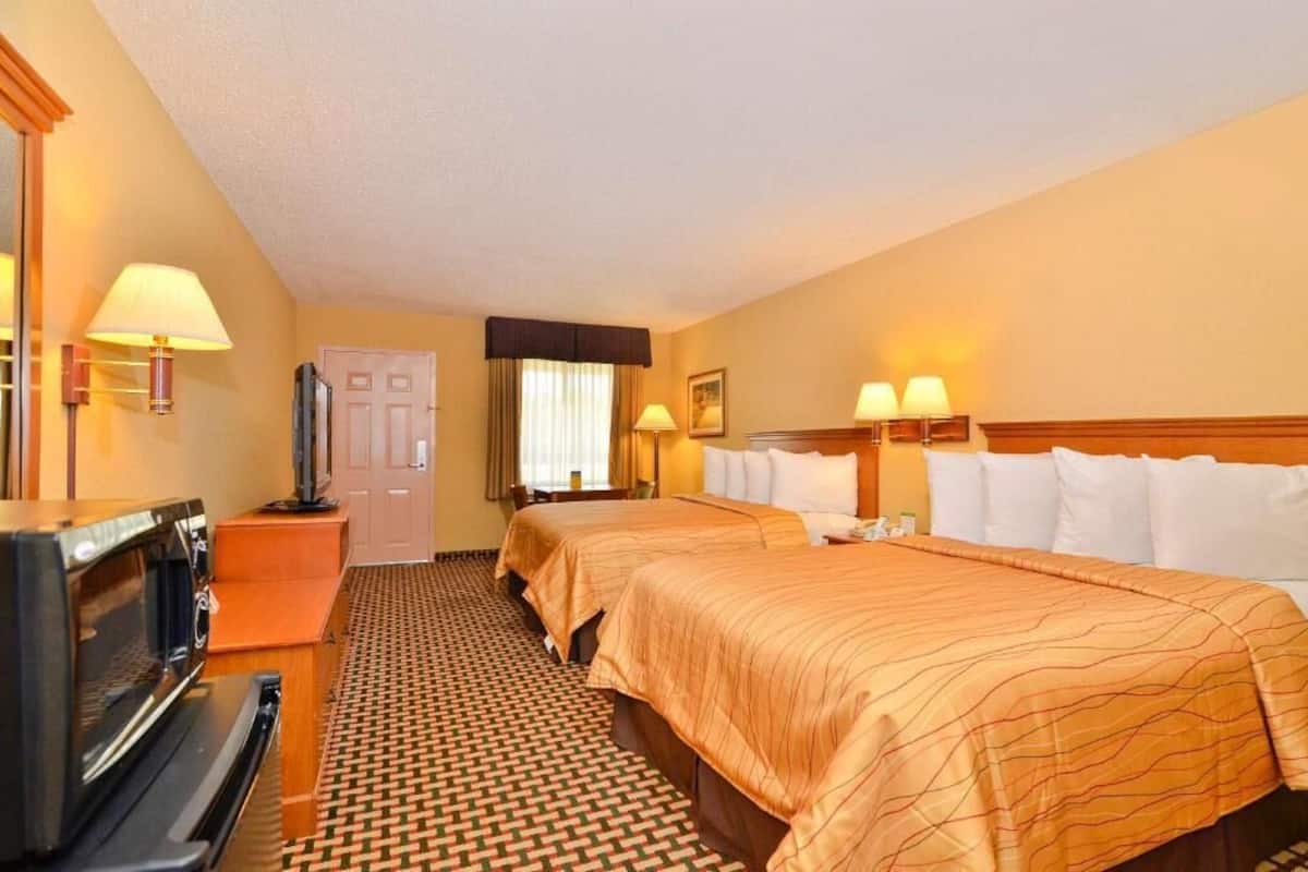 Ein Hotelzimmer mit zwei Betten, einem Fernseher, einer Mikrowelle und einem gemusterten Boden.