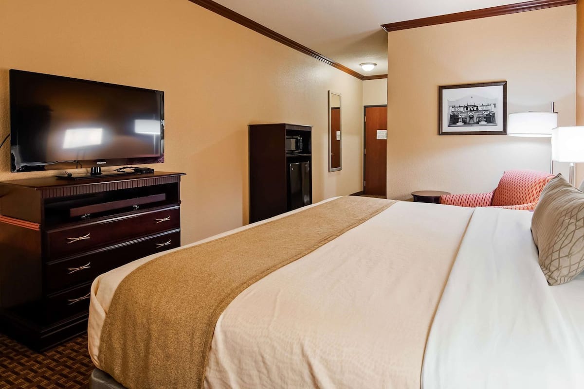 A hotel room with a large bed, a flat-screen TV, a dresser, a microwave, and a framed picture on the wall.