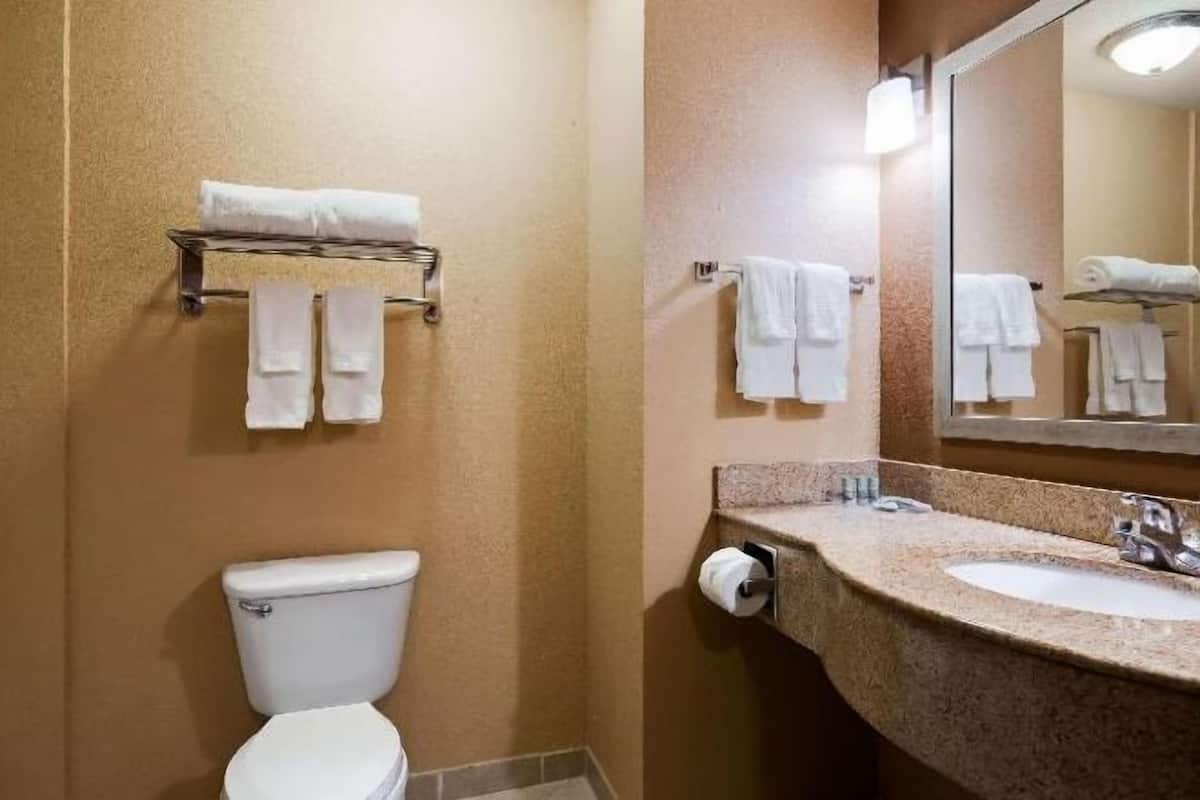 Combined shower/tub, free toiletries, hair dryer, towels