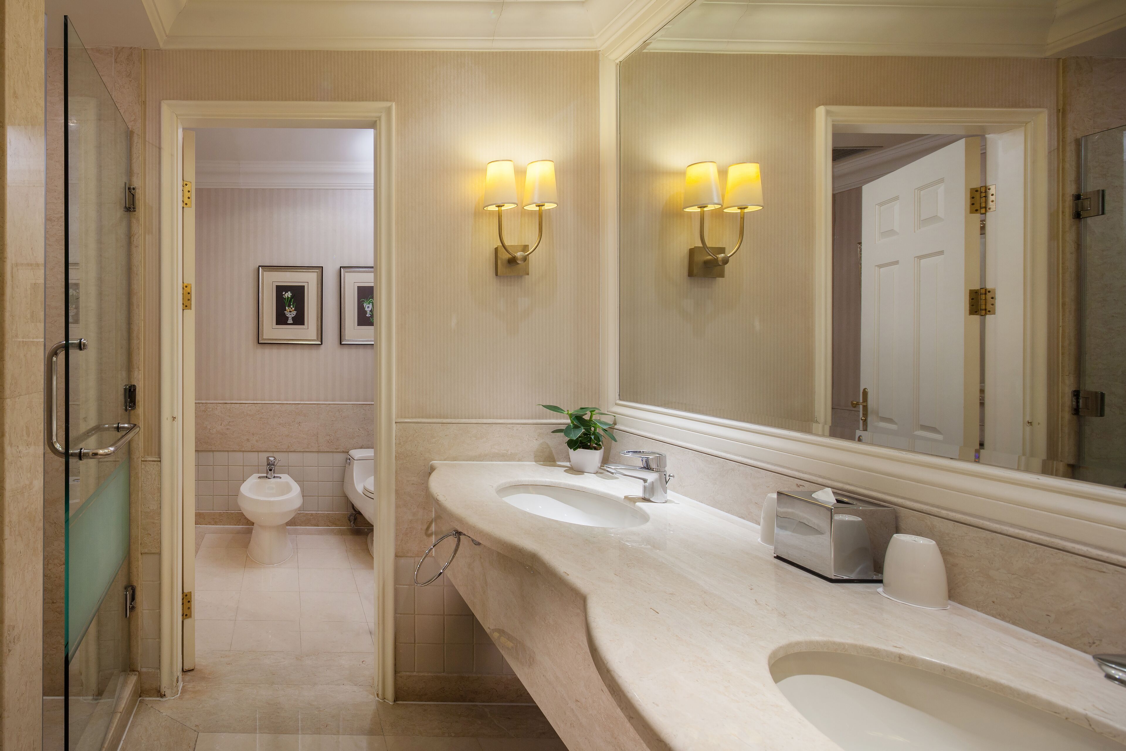 separate bathtub and shower, rainfall showerhead