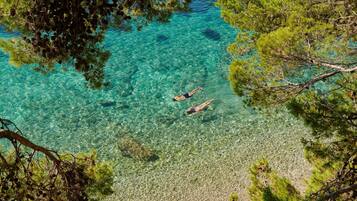 Playa privada en los alrededores y vóleibol de playa