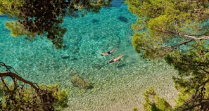 附近的私人海灘、排球