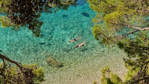 A clear turquoise sea with two people swimming, surrounded by pine trees.