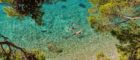 Un mar turquesa y transparente con dos personas nadando, rodeado de pinos.