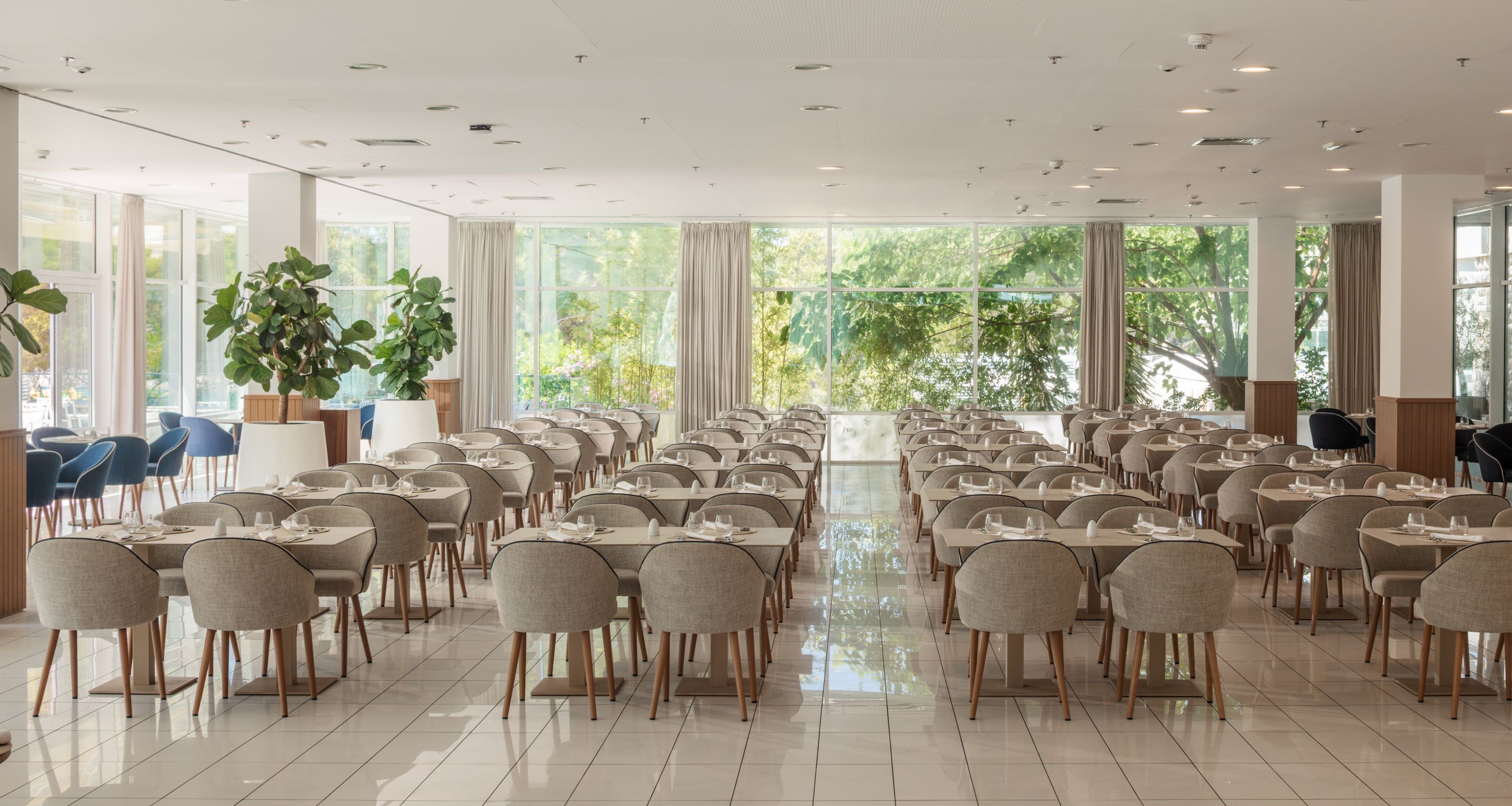 A spacious dining area with multiple tables and chairs, large windows with curtains, and potted plants.