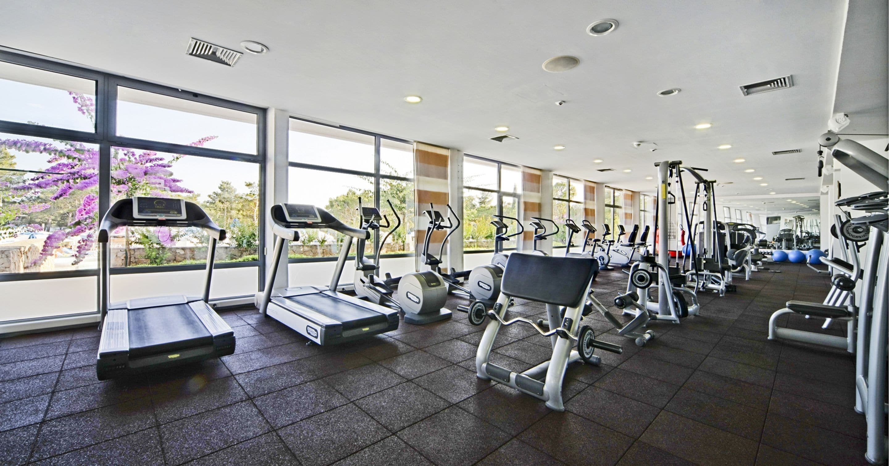 A gym with treadmills, elliptical machines, and weight equipment.