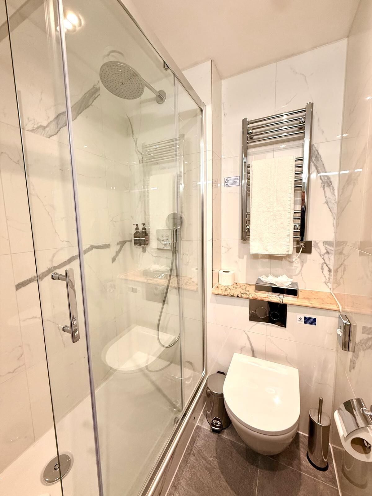 A modern bathroom with a glass-enclosed shower, a toilet, and a vanity with a towel rack.