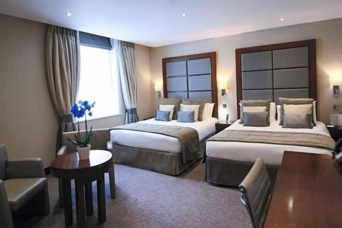 1 habitación y ropa de cama hipoalergénica