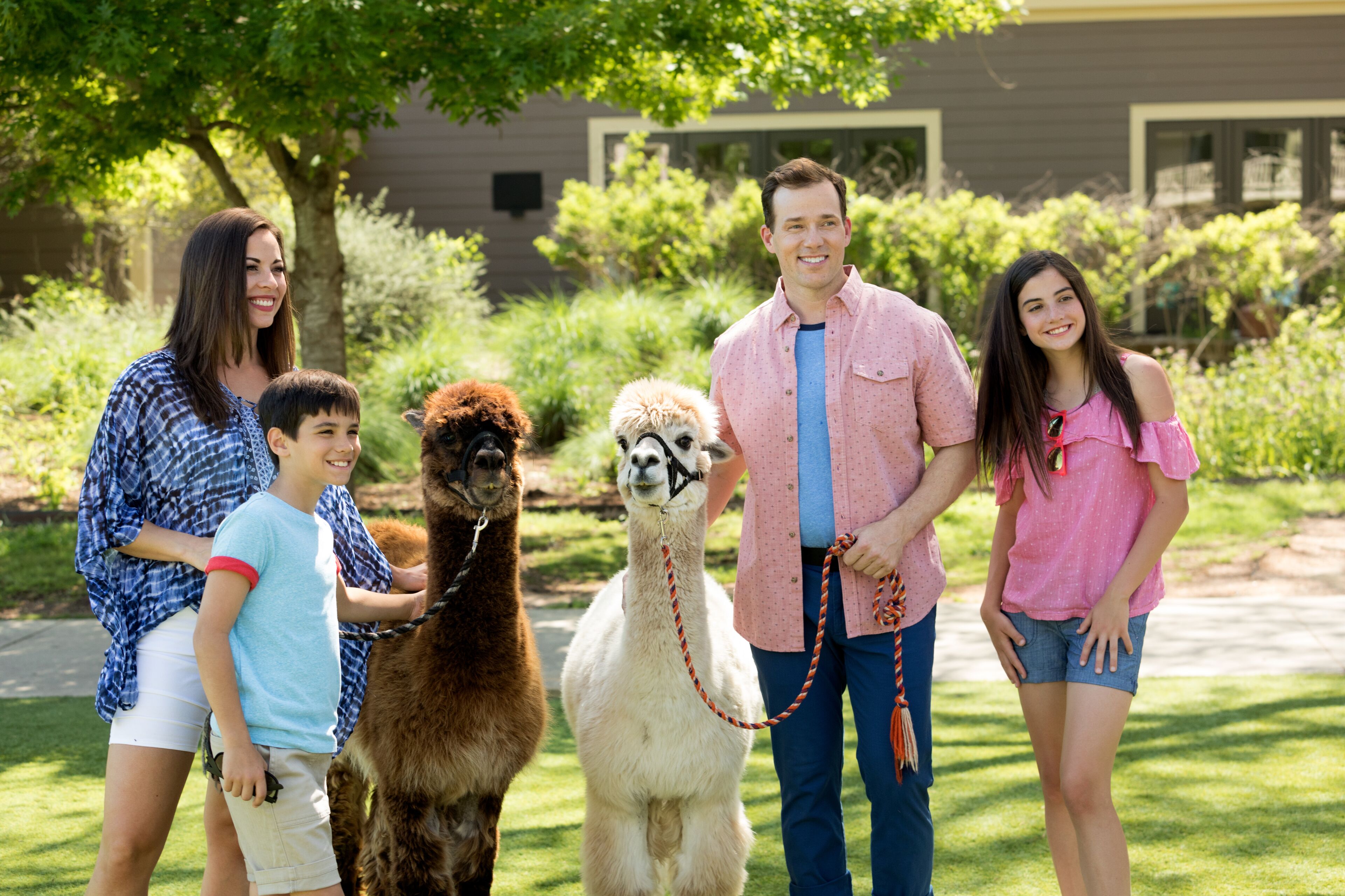 children’s activities