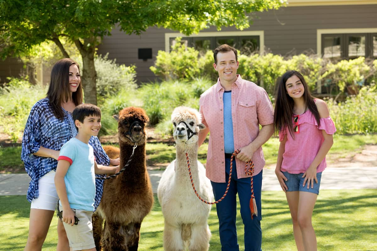 children’s activities