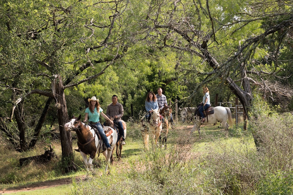 Hyatt Regency Lost Pines Resort and Spa by null