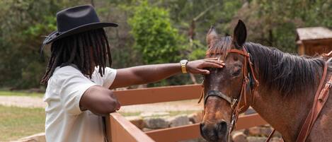 A person in a white shirt and black hat petting a horse.