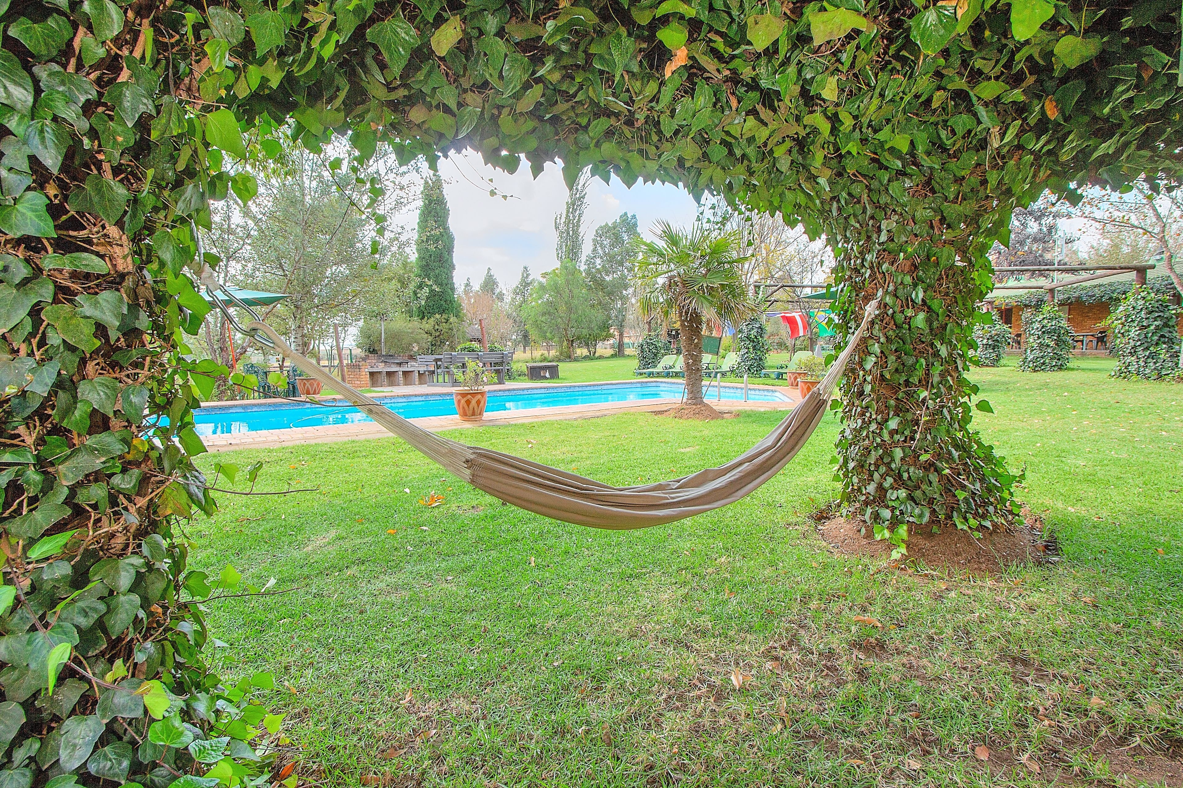 A hammock under a tree in a backyard with a swimming pool and a brick building in the background.