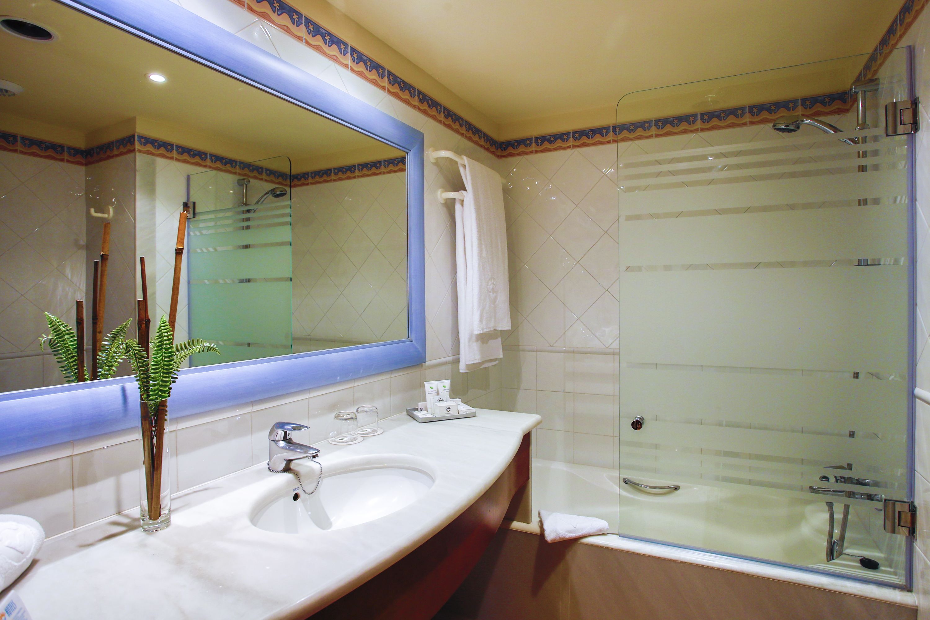 combined shower/bathtub, hair dryer, bidet, towels