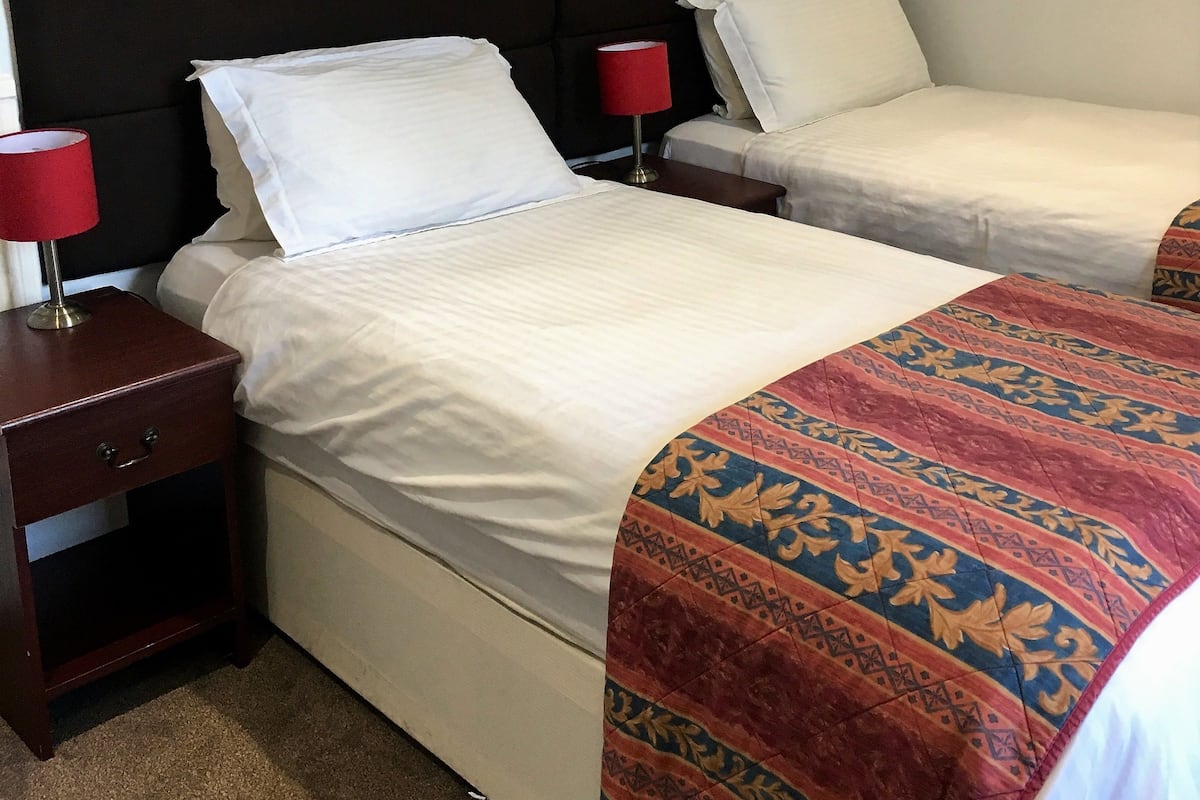 Draps en coton égyptien, literie de qualité, fer et planche à repasser