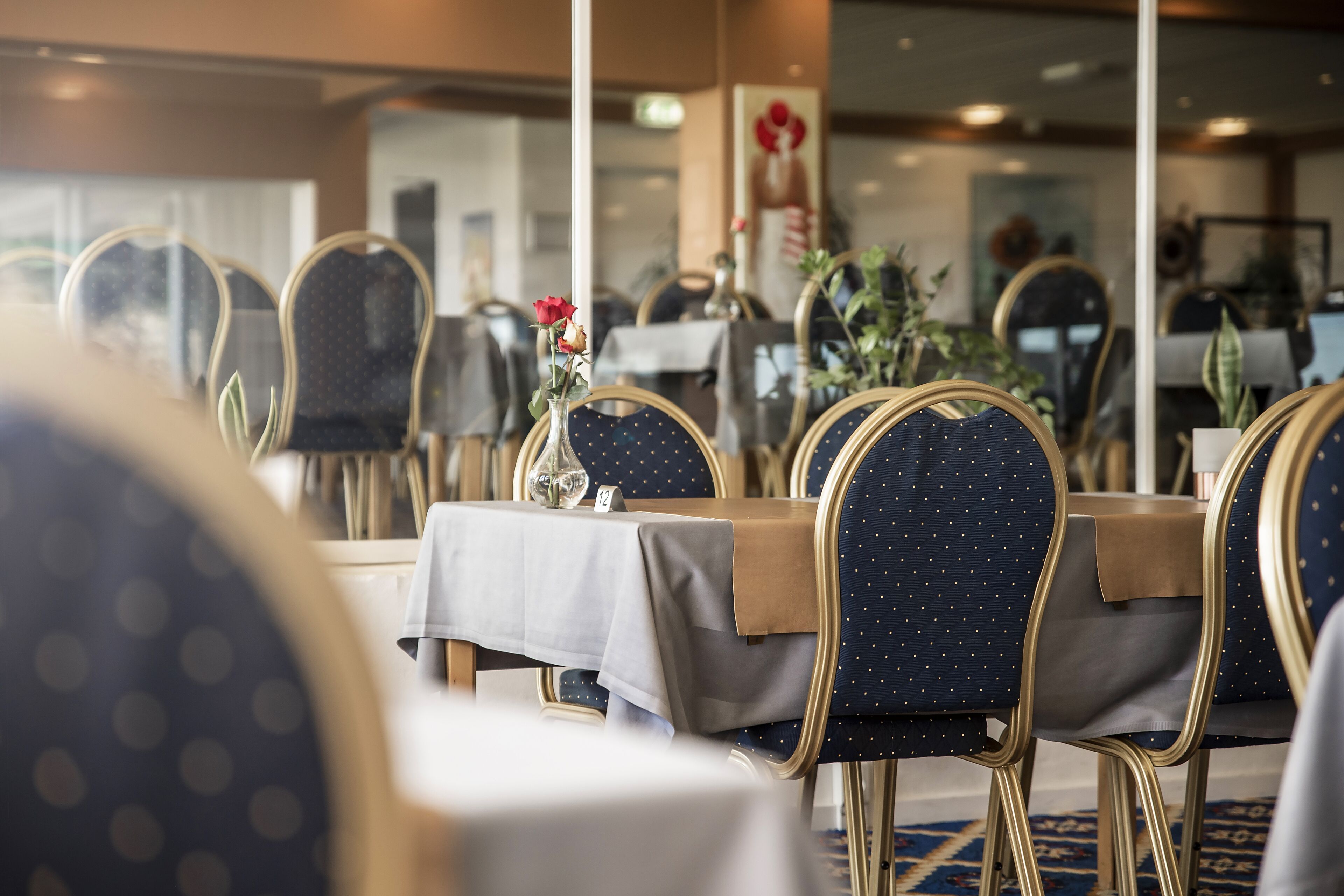 Un comedor con mesas dispuestas para el servicio, sillas con marcos dorados y un jarrón con una sola rosa roja sobre una mesa.