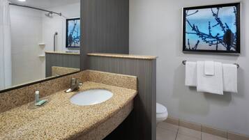 Een bad/douchecombinatie, designer toiletartikelen, een haardroger