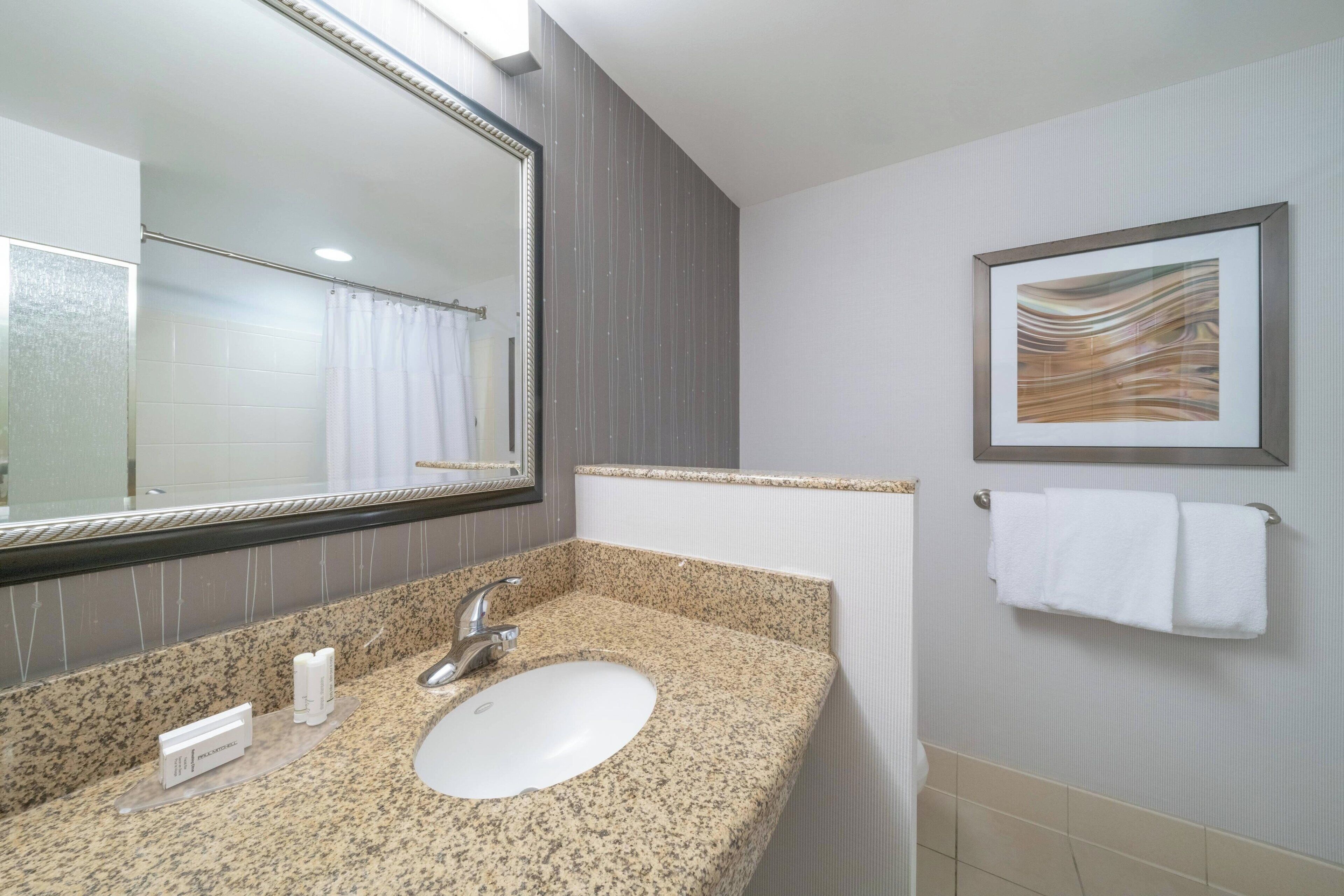 combined shower/bathtub, free toiletries, hair dryer, towels