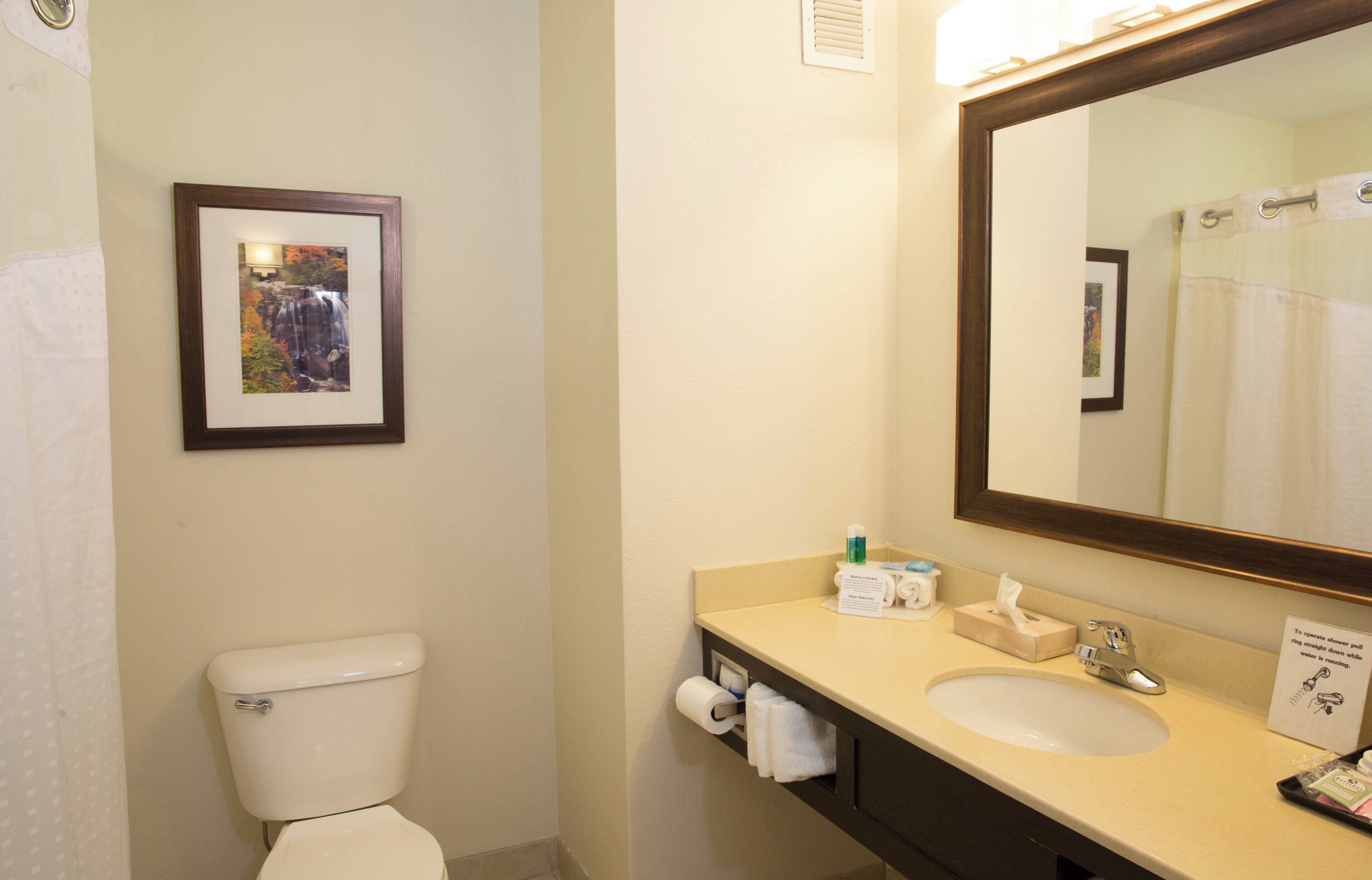 A bathroom with a toilet, sink, mirror, framed picture, and a towel rack.