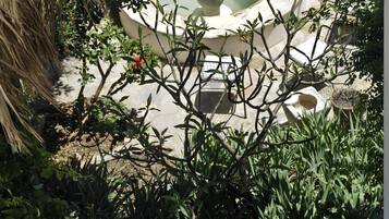 Fountain