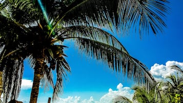 Private beach, white sand, beach cabanas, beach towels